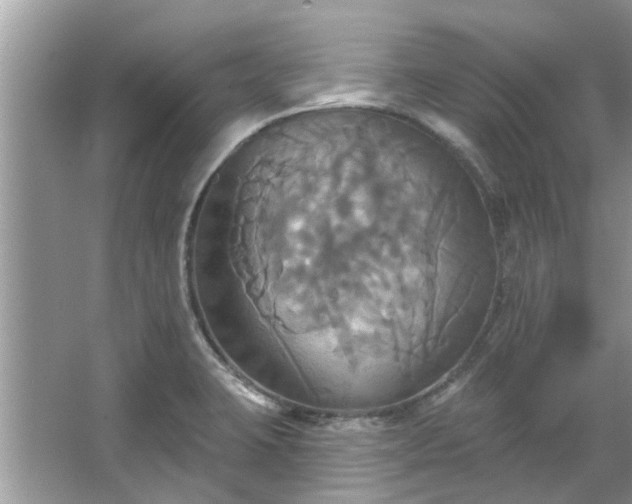 X0000067351423200604071414