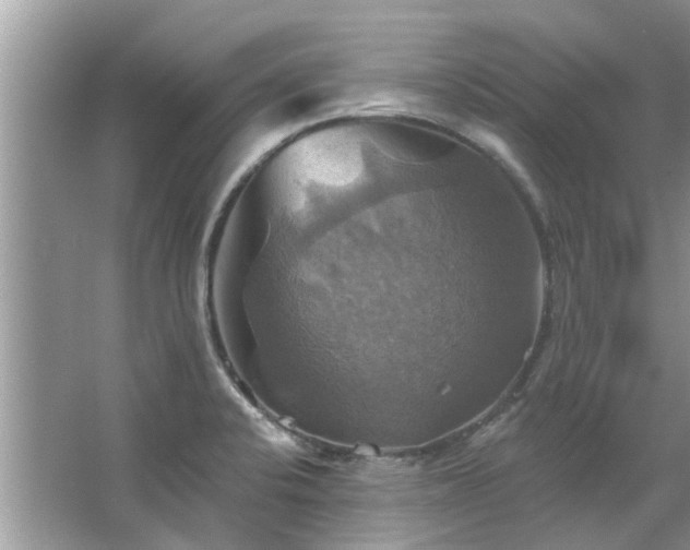 X0000067351424200604071414