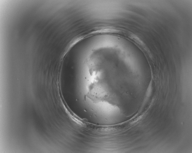 X0000067351425200604071414