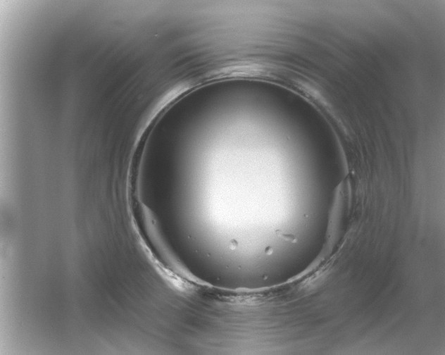 X0000067351426200604071414