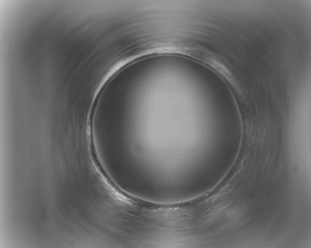 X0000067351428200604071414