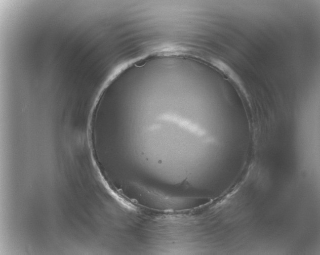 X0000067351429200604071414