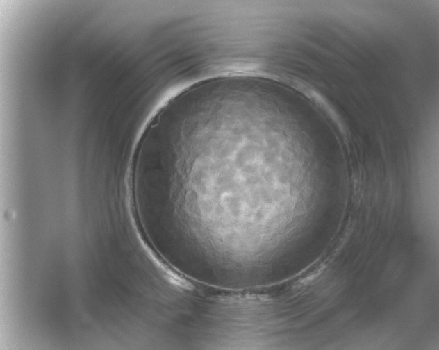 X0000067351432200604071414