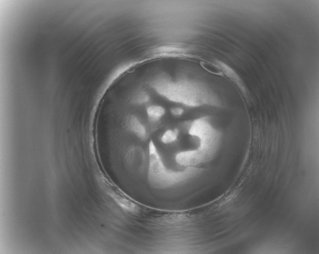 X0000067351435200604071414