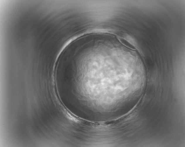 X0000067351436200604071414