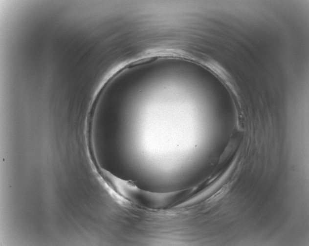 X0000067351438200604071414