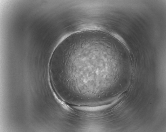 X0000067351439200604071414