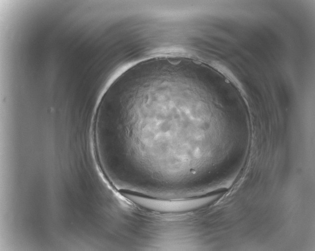 X0000067351440200604071414