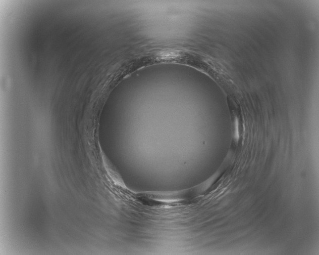 X0000067351441200604071413