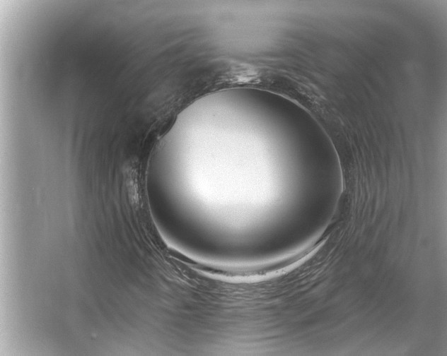 X0000067351442200604071413