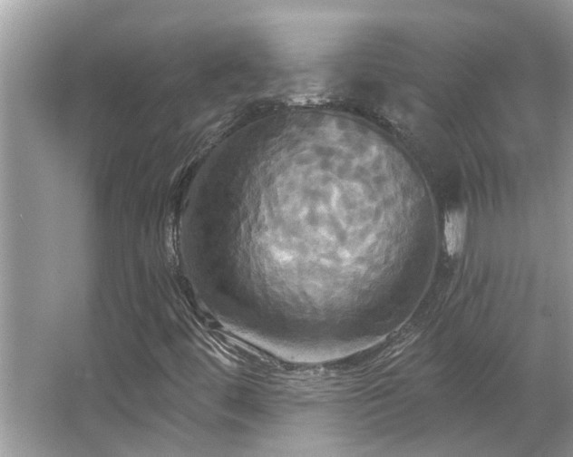 X0000067351444200604071413