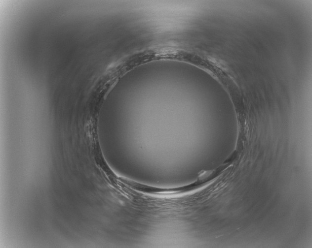 X0000067351445200604071413