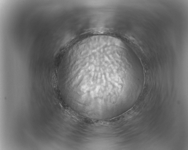 X0000067351446200604071413