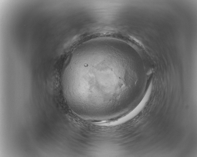 X0000067351447200604071413