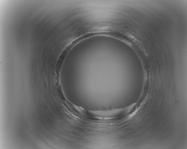 X0000067351449200604071413