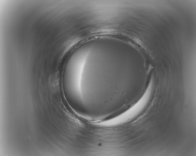 X0000067351450200604071413