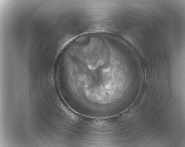 X0000067351452200604071413