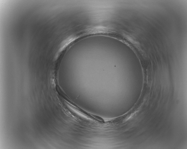 X0000067351453200604071413