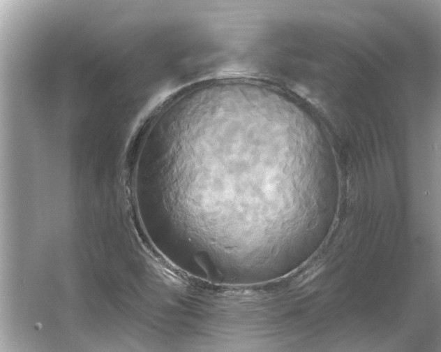 X0000067351454200604071413