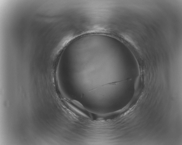 X0000067351455200604071413