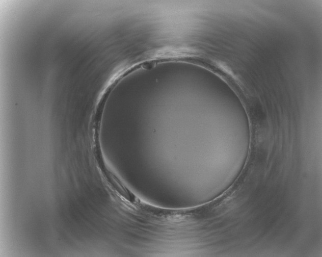 X0000067351459200604071413