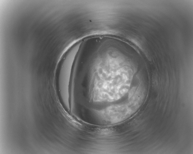 X0000067351460200604071413