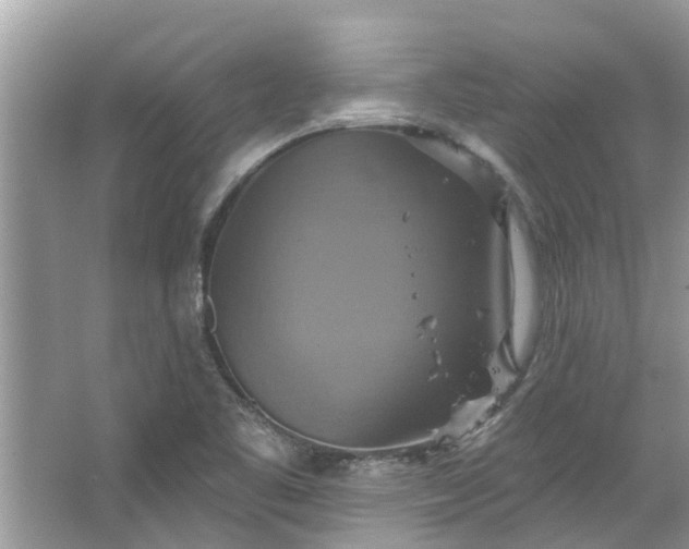 X0000067351461200604071413