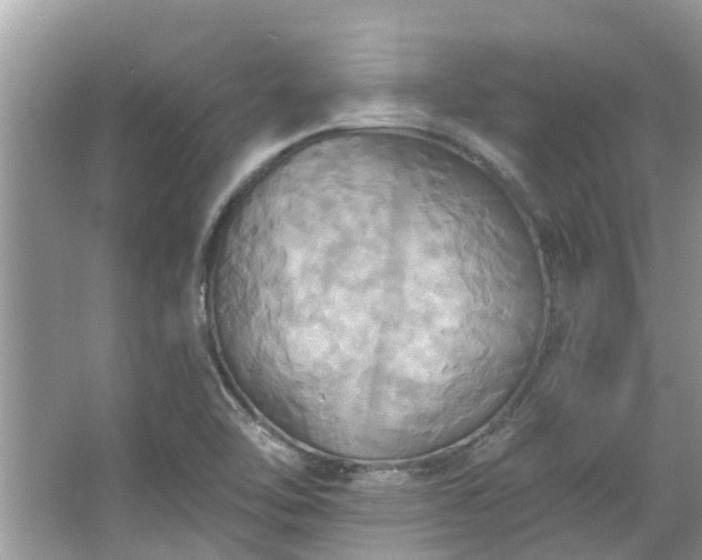 X0000067351462200604071413