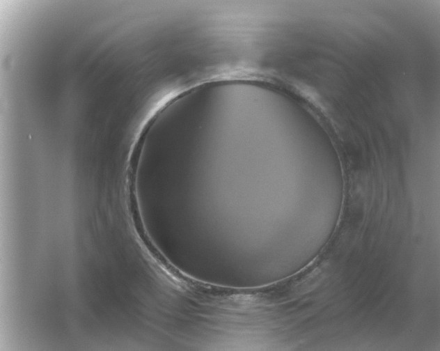 X0000067351463200604071413