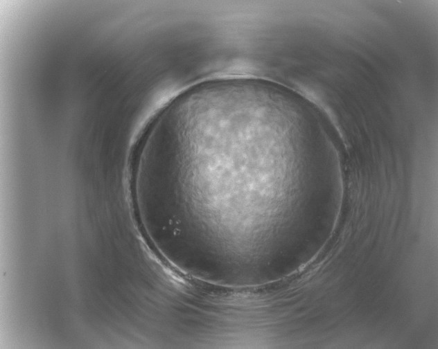 X0000067351464200604071413