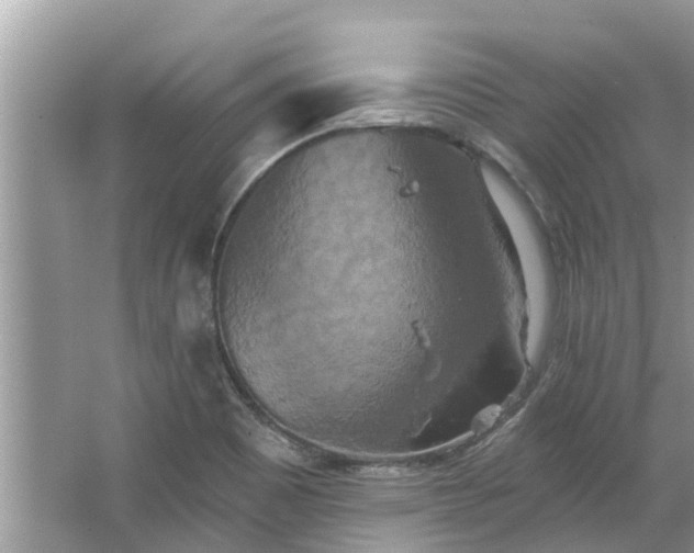 X0000067351465200604071413