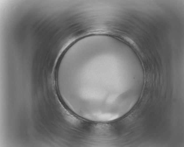 X0000067351466200604071413