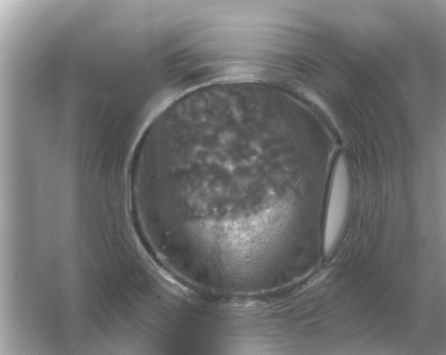 X0000067351467200604071413