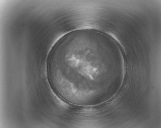 X0000067351468200604071413