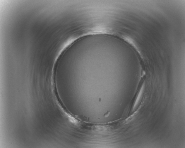 X0000067351469200604071413