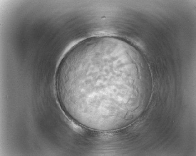 X0000067351470200604071413