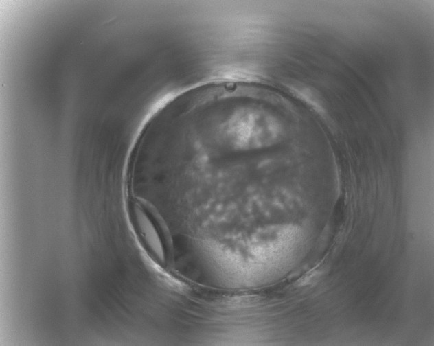 X0000067351471200604071413