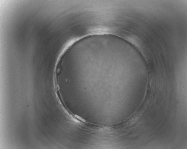 X0000067351472200604071413