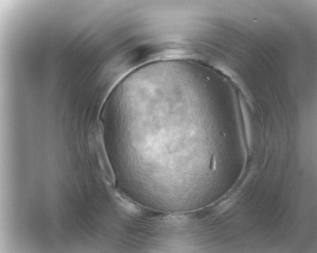 X0000067351473200604071413