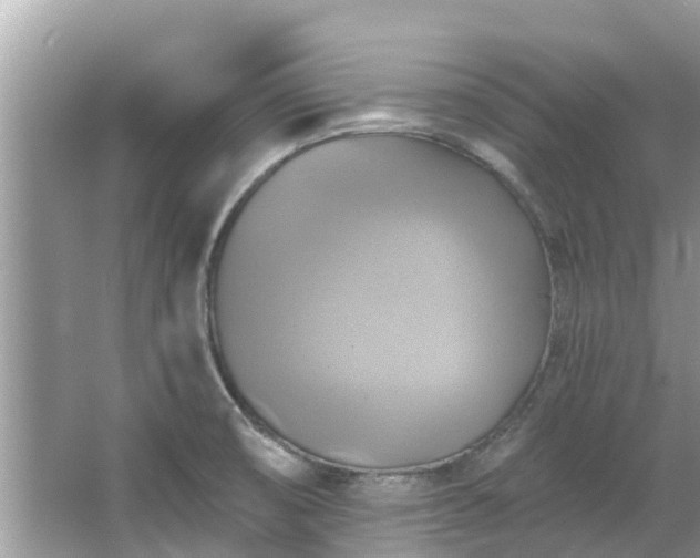 X0000067351474200604071413