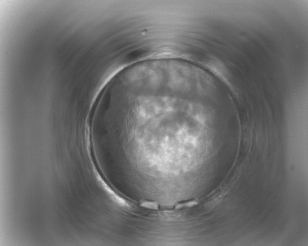 X0000067351476200604071412