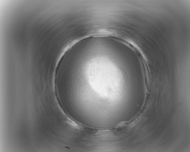 X0000067351477200604071412