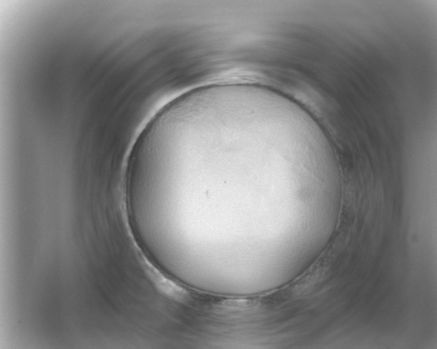 X0000067351478200604071412