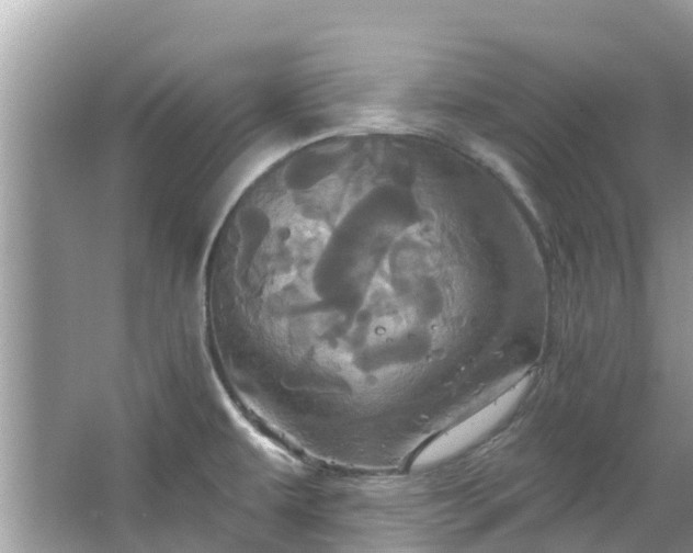 X0000067351479200604071412