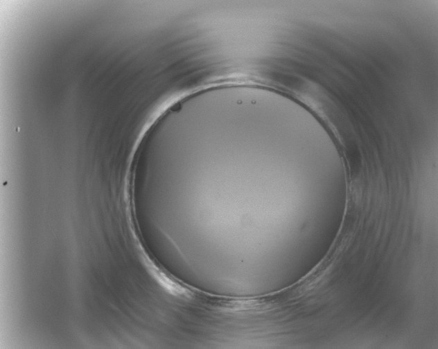 X0000067351482200604071412