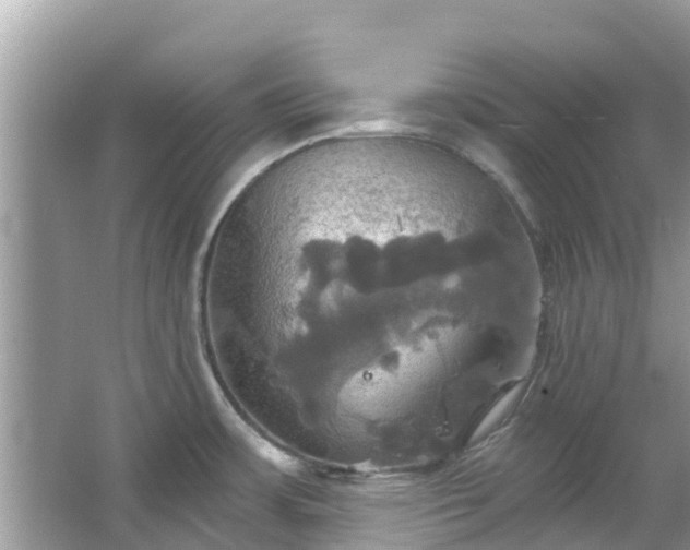 X0000067351483200604071412