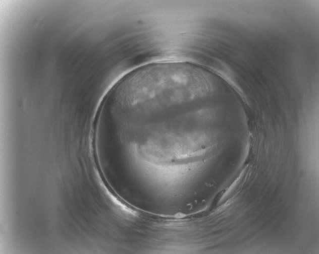 X0000067351484200604071412