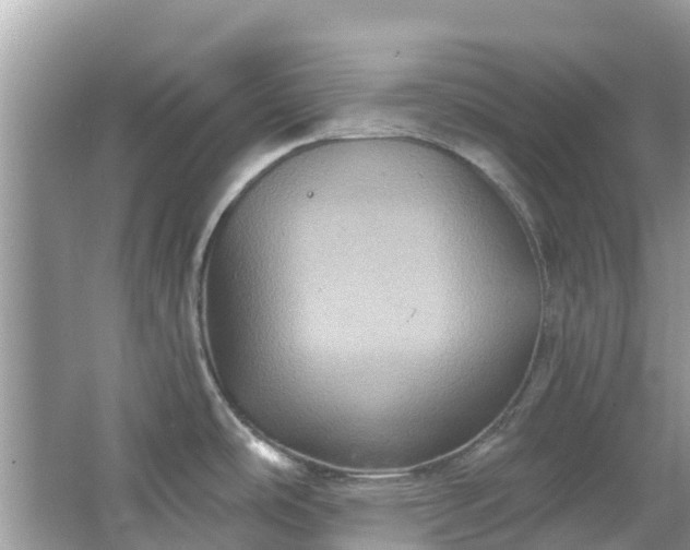 X0000067351486200604071412