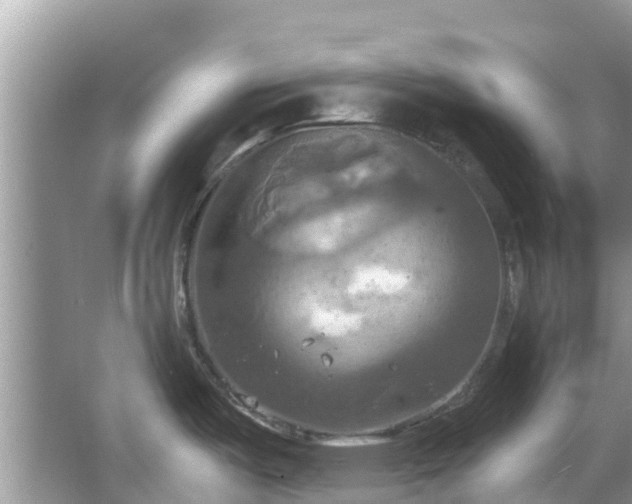 X0000067351487200604071412