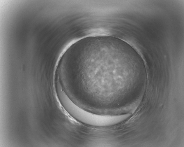 X0000067351488200604071412